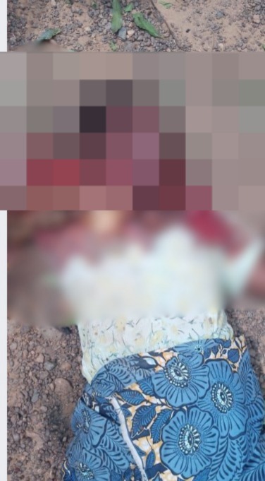 Twifo Denyase: 62-Year Old Woman Butchered