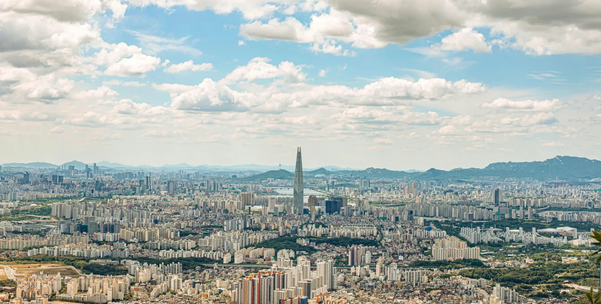 The Career Collapse: Why the "Smartest People" are Rewriting the Rules in 2026